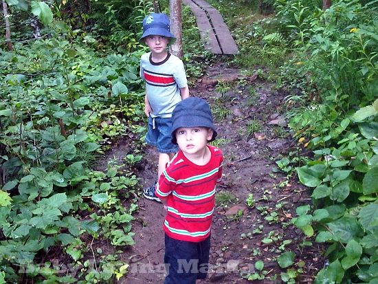 Wordless Wednesday – Trail Walks