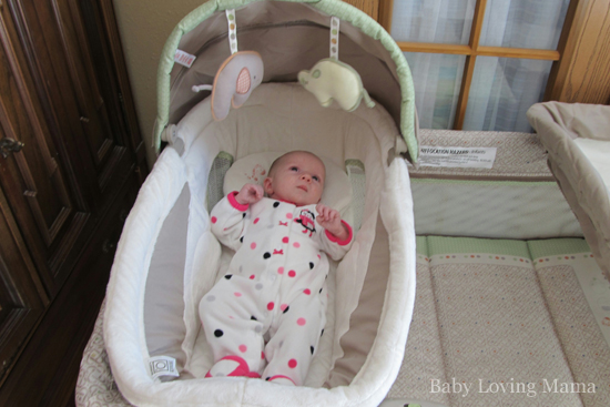 ingenuity playpen bassinet