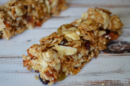 Take A Long Fruit and Oatmeal Bars {Recipe}  | Road Trip Snack Ideas