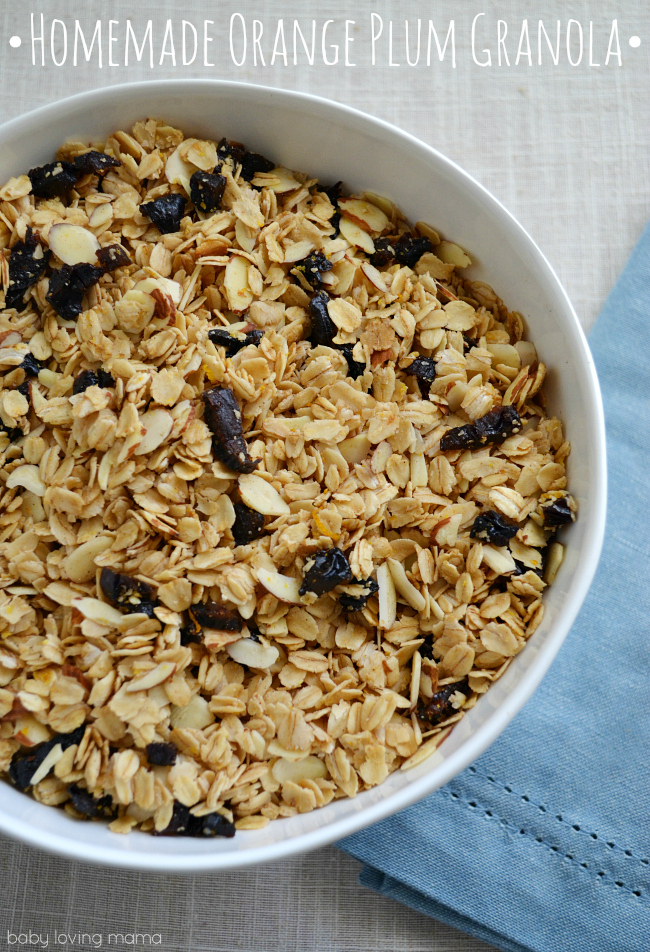 Homemade Orange Plum Granola