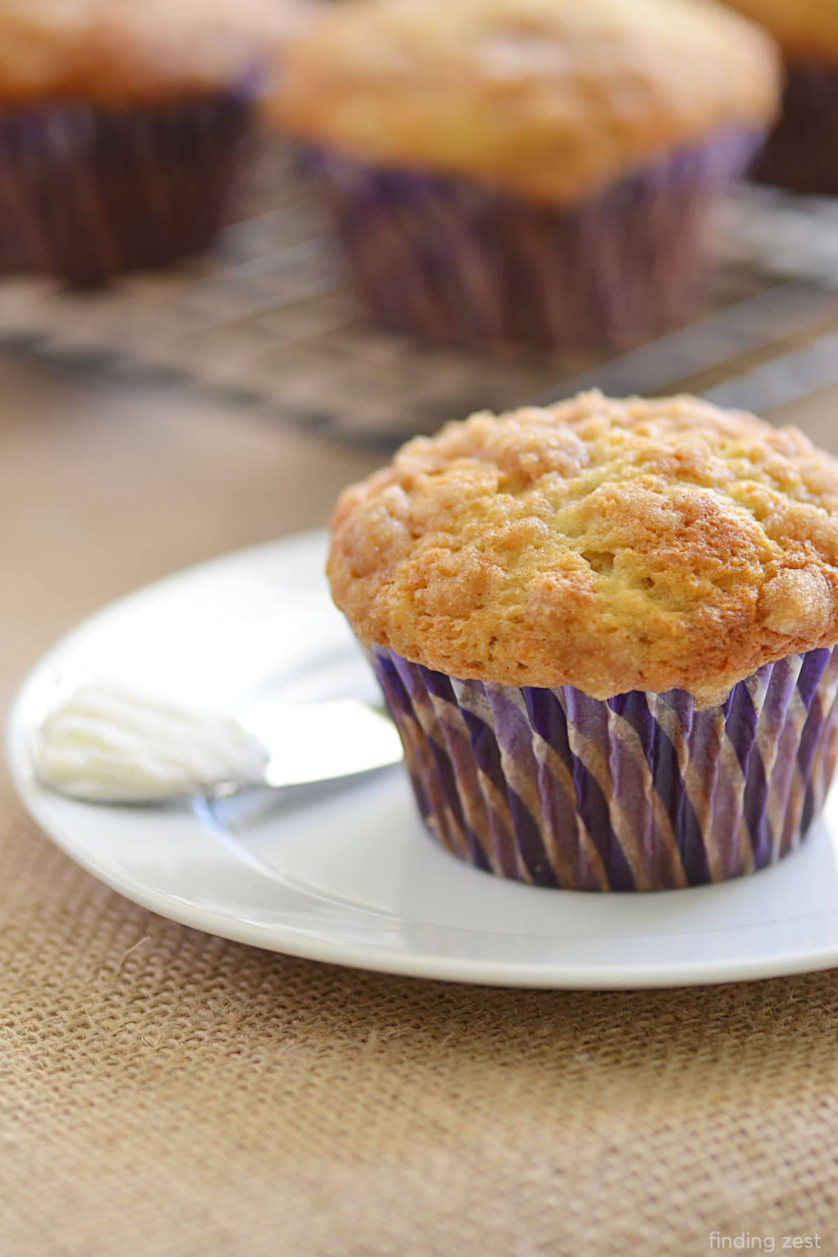 These banana crumb muffins are easy to make, moist, and delicious. The perfect breakfast for when you want something a little bit special. The crumb topping is so good!!!