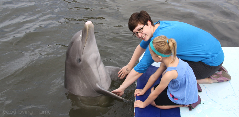 Florida Family Fun at the Dolphin Research Center in Grassy Key