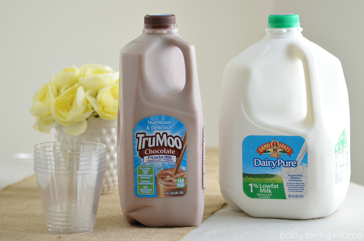 TruMoo Chocolate Milk and DairyPure Milk