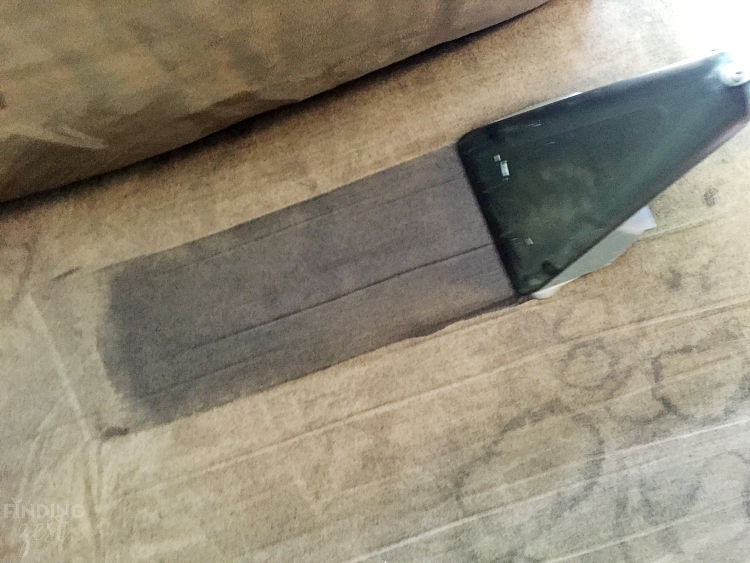Rug doctor sofa cleaning