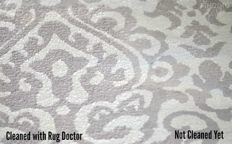 Cleaning Rugs with Rug Doctor