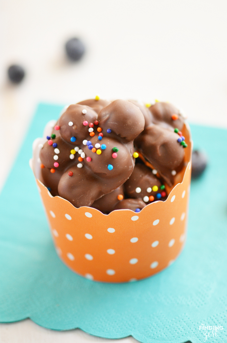 Make these easy Blueberry Chocolate Clusters as a fun dessert or snack! With only three ingredients, they are a perfect recipe for kids!