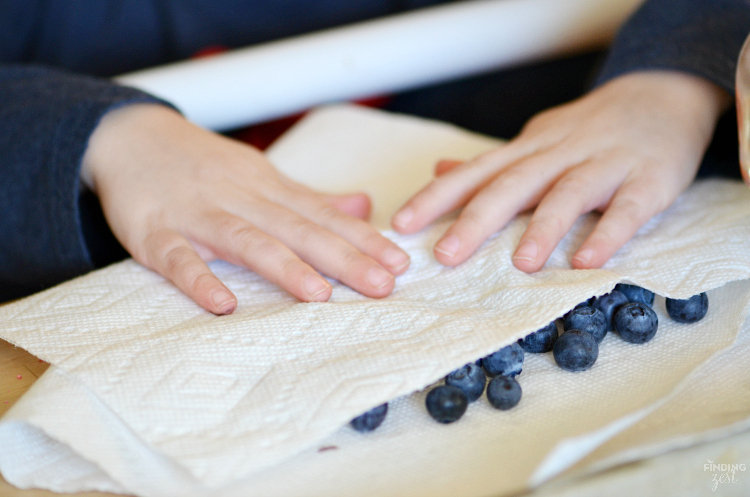 Make these easy Blueberry Chocolate Clusters as a fun dessert or snack! With only three ingredients, they are a perfect recipe for kids!