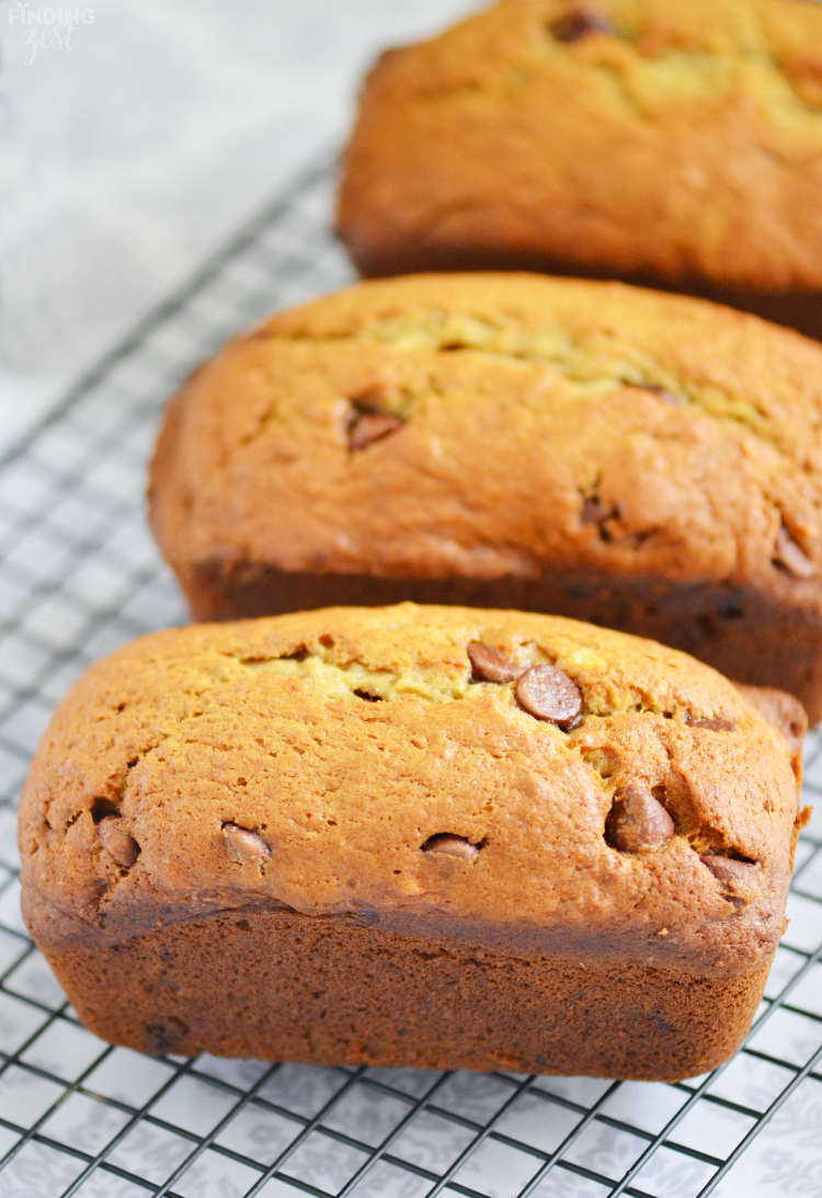 Homemade Chocolate Chip Banana Bread