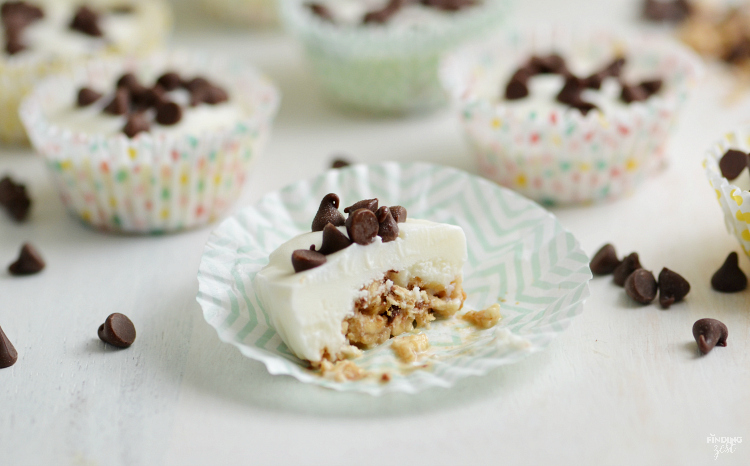 Only three ingredients are needed to make these Chocolate Chip Frozen Yogurt Bites! Kids will love this fun and easy snack.