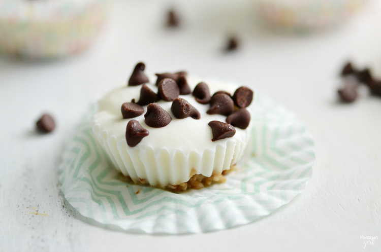 Only three ingredients are needed to make these Chocolate Chip Frozen Yogurt Bites! Kids will love this fun and easy snack.