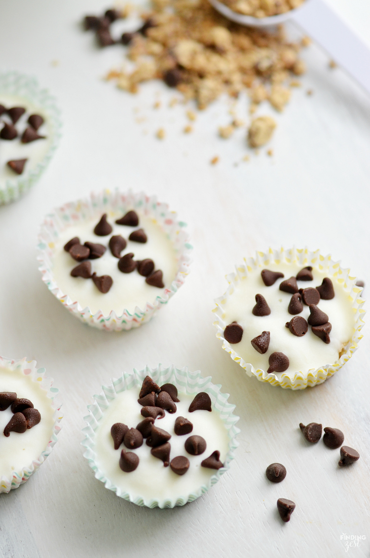 Chocolate Chip Frozen Yogurt Bites