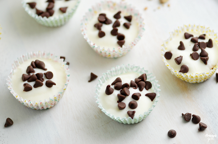 Only three ingredients are needed to make these Chocolate Chip Frozen Yogurt Bites! Kids will love this fun and easy snack.