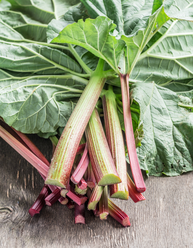 Is Rhubarb Good for You? All You Need to Know