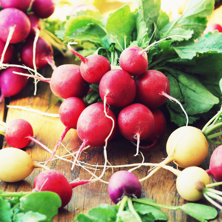 On a low carb diet and can't have potatoes? Don't like raw radishes? Try roasted radishes instead! Learn all about radishes and how this roasted radishes recipe is a great substitute for potatoes. Once roasted, these fresh radishes lose their spicy, peppery flavor and taste great with a dollop of sour cream!