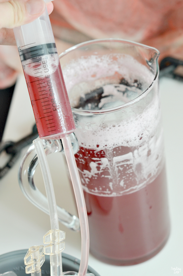 Entertain guests at your Halloween party with these fun blood bags! This red Halloween Drink (non-alcoholic) is perfect for filling fake I.V. bags designed specifically for drinks. Learn tips for how to fill and clip the bags and how to make the easiest edible fake blood splatters! This is also a great accessory to your vampire costume!