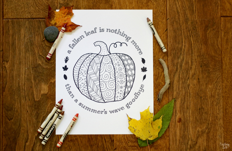 Pumpkin Coloring Page Printable Finding Zest