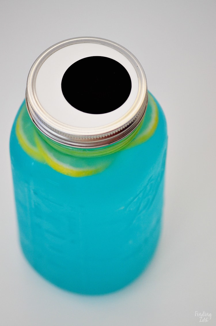 This lemonade punch recipe is the perfect drink to serve guests at your pigeon party! Created in celebration of The Pigeon Has to Go to School by Mo Willems, this blue drink mimics the colors of the beloved book character, Pigeon. Serve this refreshing blue lemonade with lemon slices in a large mason jar to make it super easy to transport.