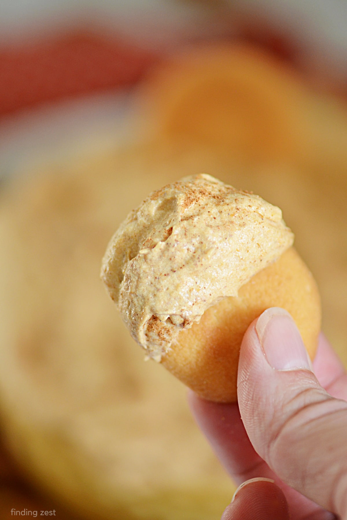 This pumpkin dip is light and fluffy, perfect for all your fall celebrations. Make it for Halloween or Thanksgiving gatherings and watch it disappear. Serve with vanilla wafers, pretzels, cookies or apple slices!