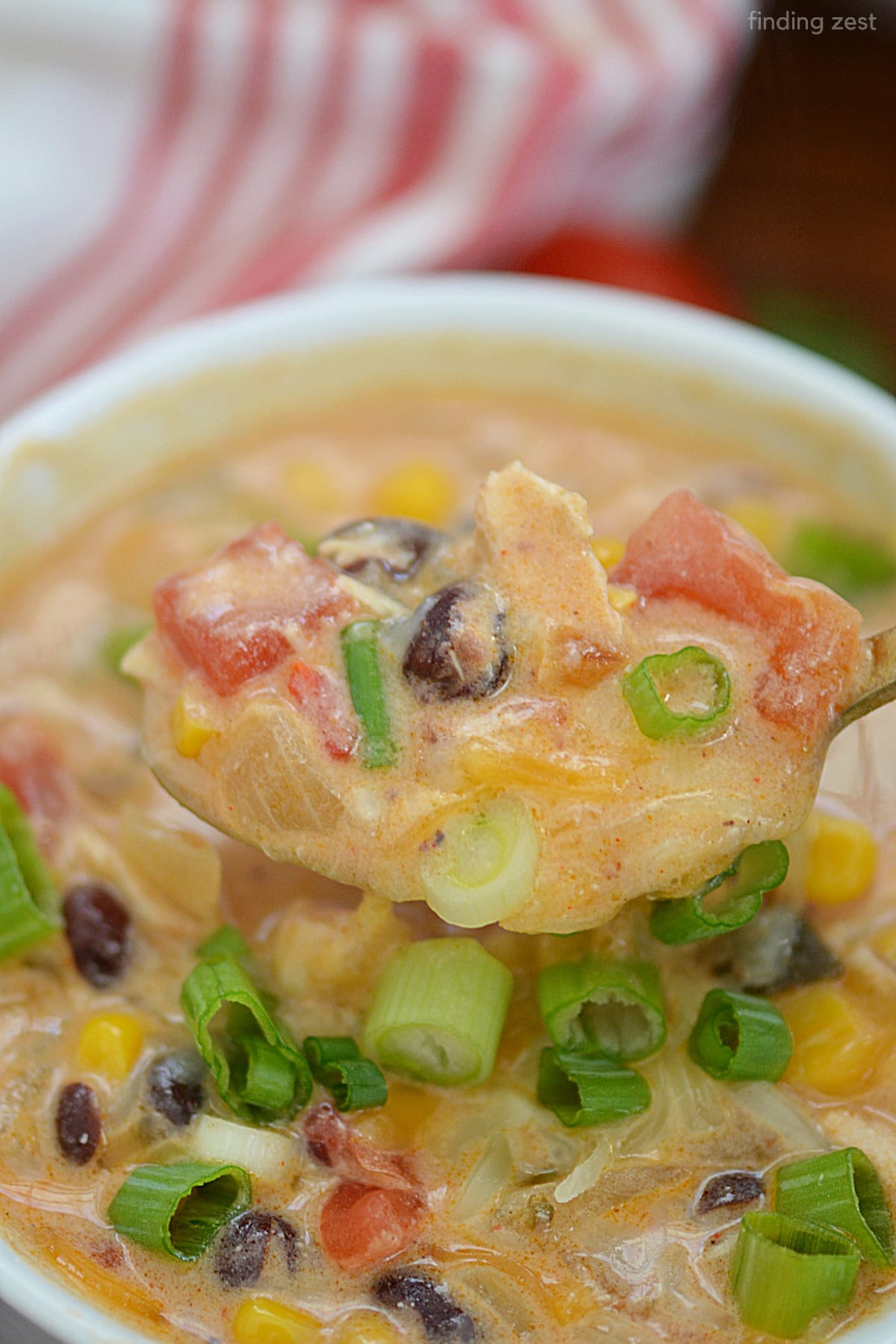 If you want an easy, creamy and delicious soup, look no further than this Chicken Enchilada Soup! This one-pot meal is easy to cook up using leftover rotisserie chicken and is sure to become a new family favorite.