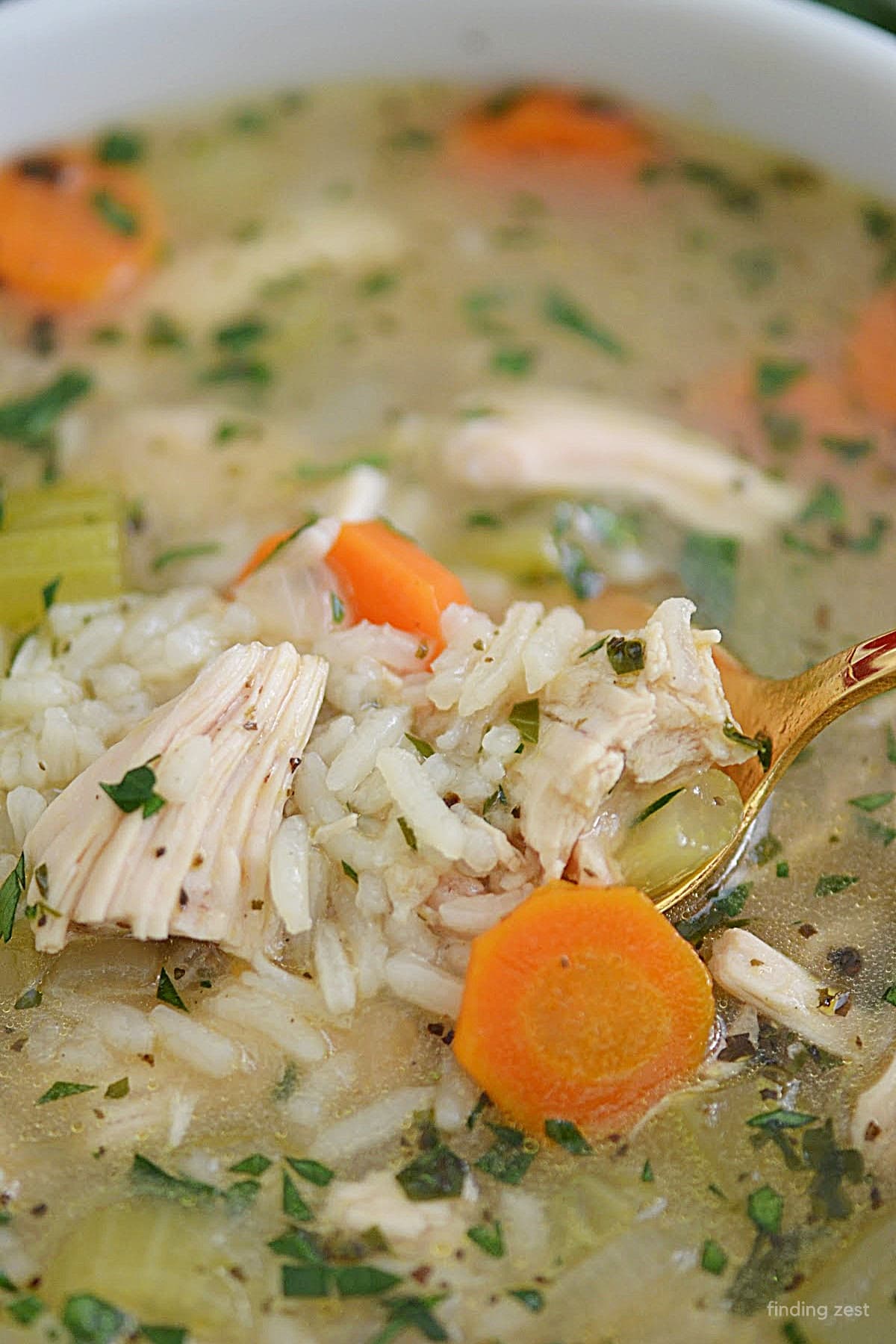 Chicken and Rice Soup with Rotisserie Chicken Finding Zest