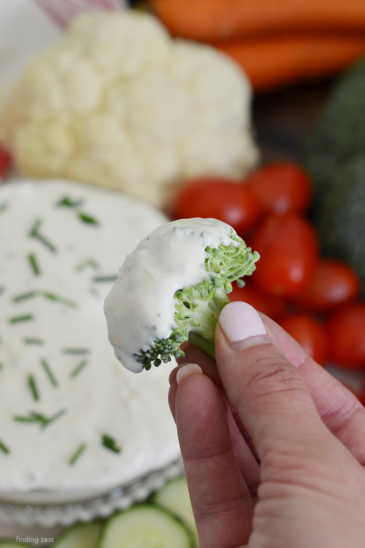 Looking for a quick and easy appetizer that everyone will love? Go with a veggie tray with dip!  This easy veggie ranch dip is creamy, flavorful, and comes together in just a few minutes! 
