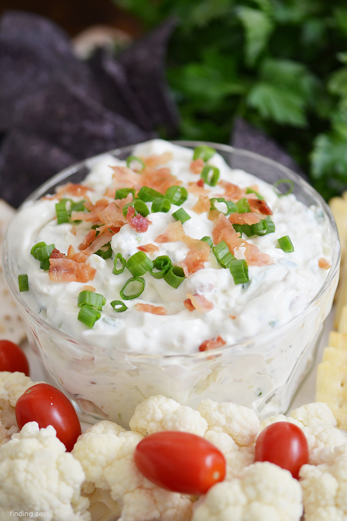 Bacon Ranch Dip is the ultimate party dip featuring ranch dressing mix, bacon, shredded cheese, sour cream and green onion. Serve this party dip with your favorite crackers, veggies or chips for an appetizer that everyone will love!